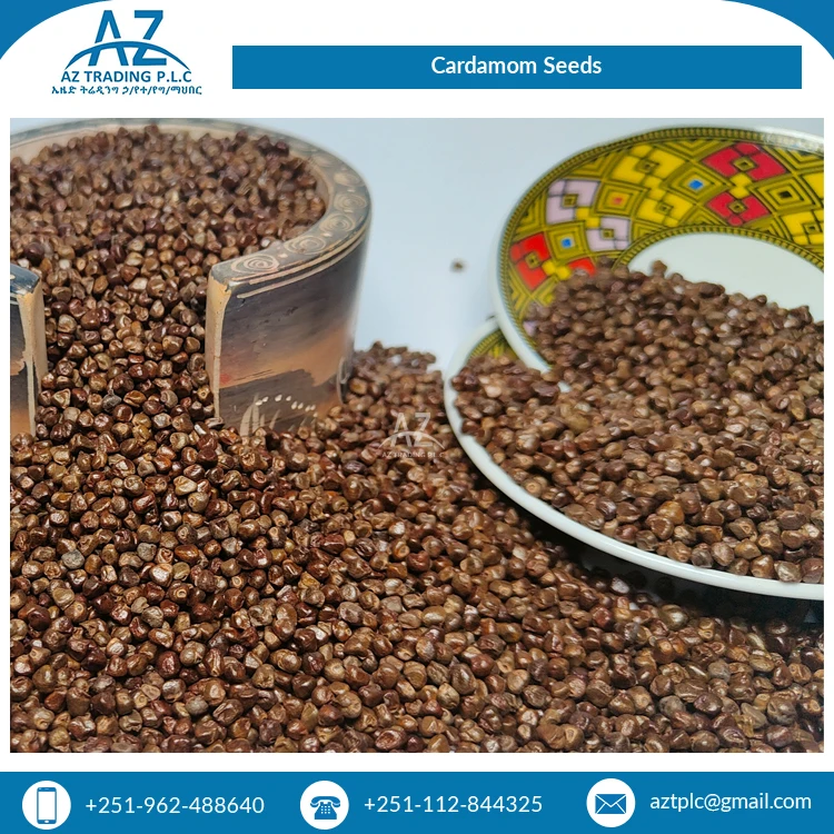 Superb Quality New Harvest Single Spices Dried Cardamom Black Cardamom Seeds from Ethiopia