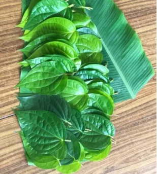 Свежие листья Betel из дерева 10 шт.