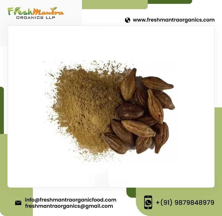 100% Organic Haritaki Seed Extract Powder With 24 Months Longer Shelf Life