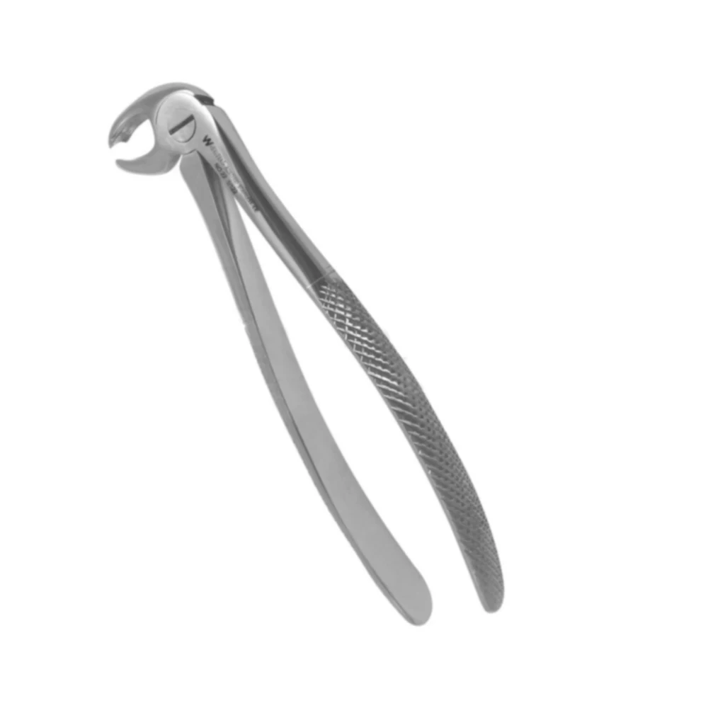 Good Quality Teeth Extraction Forceps Dental