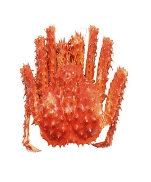 
Quality Snow Crab Antarctica / Deep Sea Crab/ Baby King Crab Wholesale 