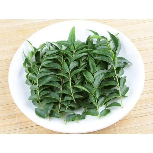 Высококачественные листья карри