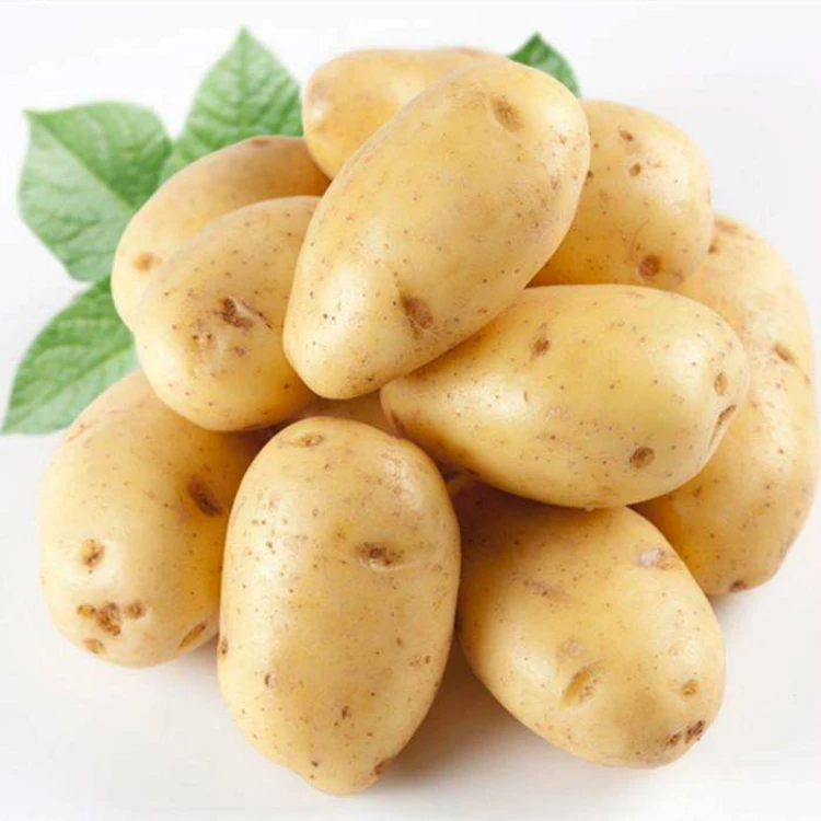 2021 Popular Vegetable 100% Organic Fresh Potato Export Wholesale Price