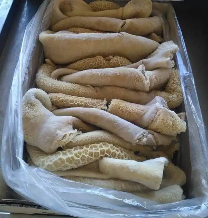 Beef Tripe / Frozen Beef Tripe