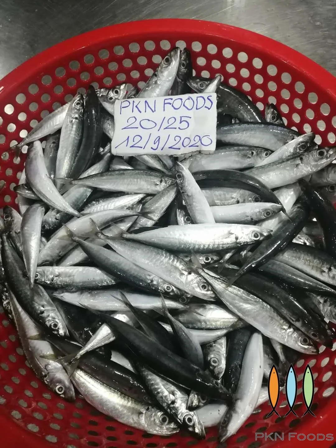 Высокое качество натуральный IQF блок Layang scad decapurus macrosoma