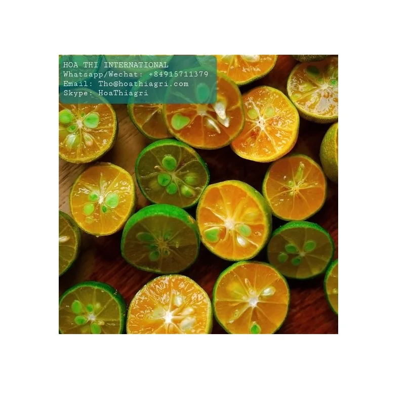 Обогащенные витамины с кислым вкусом IQF целая форма 24 месяца срок службы скорлупы замороженный каламат высокое качество