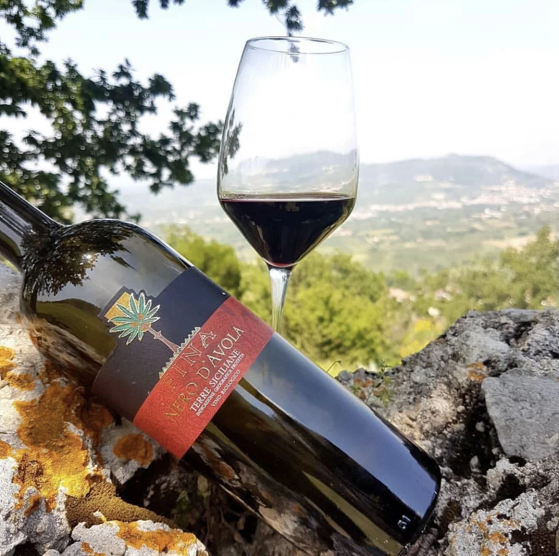  Сделано в Италии стеклянная бутылка Sauvignon Blanc IGP земля Siciliane 0 75 белое