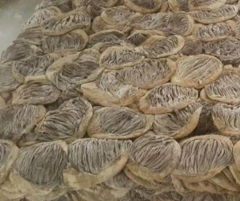 Halal Frozen Buffalo Beef Meat / Dried Frozen Beef Omasum