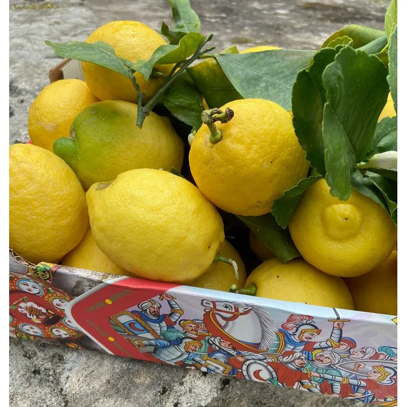 Made in Italy Sicily Organic Pale Yellow Fresh Lemons with Leavesgreen 15kg box for essential oil  ready to ship