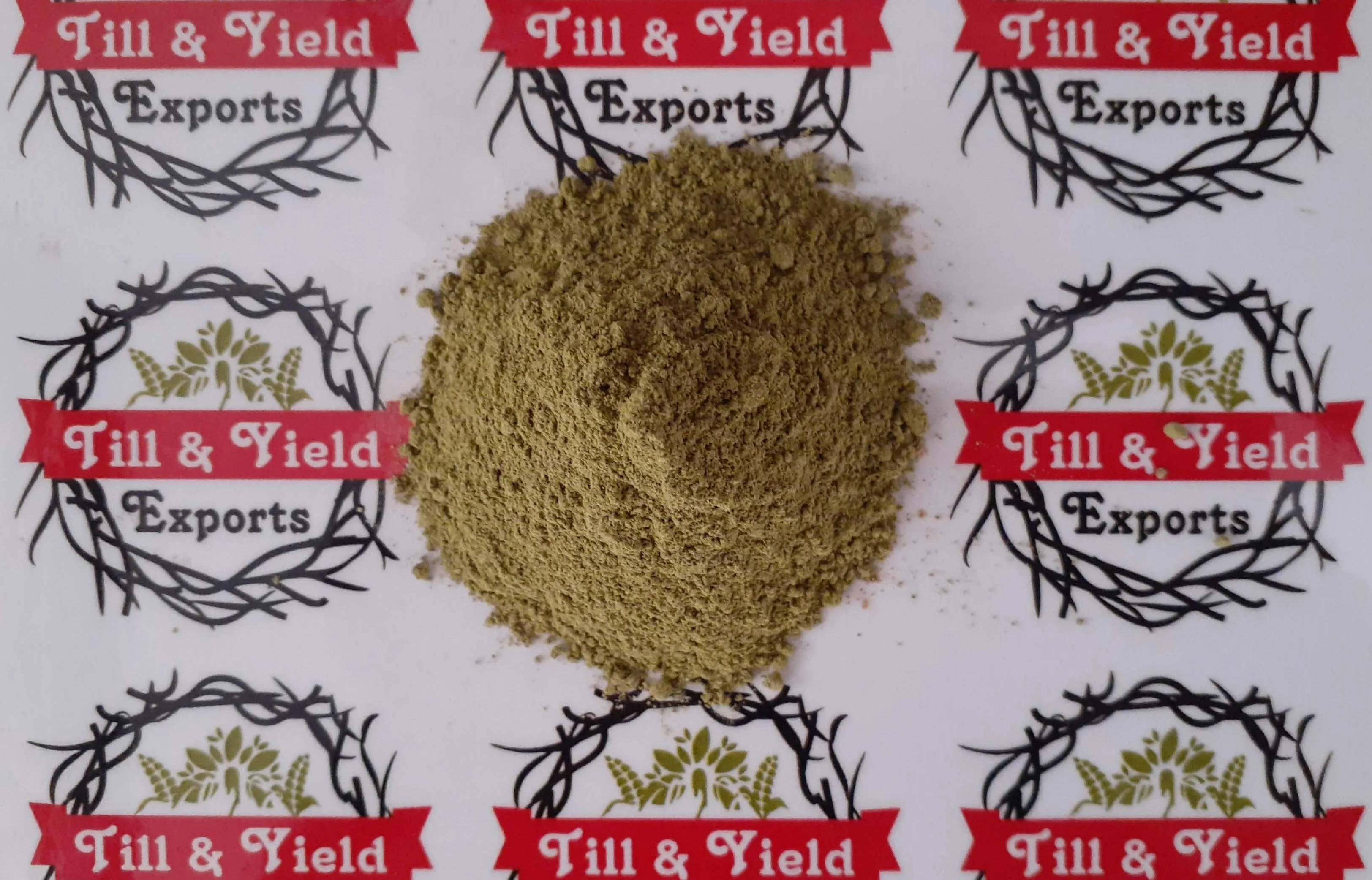 Cucumber Powder - Cucumis Sativum Powder Significant Increase In Several Markers Of Antioxidant