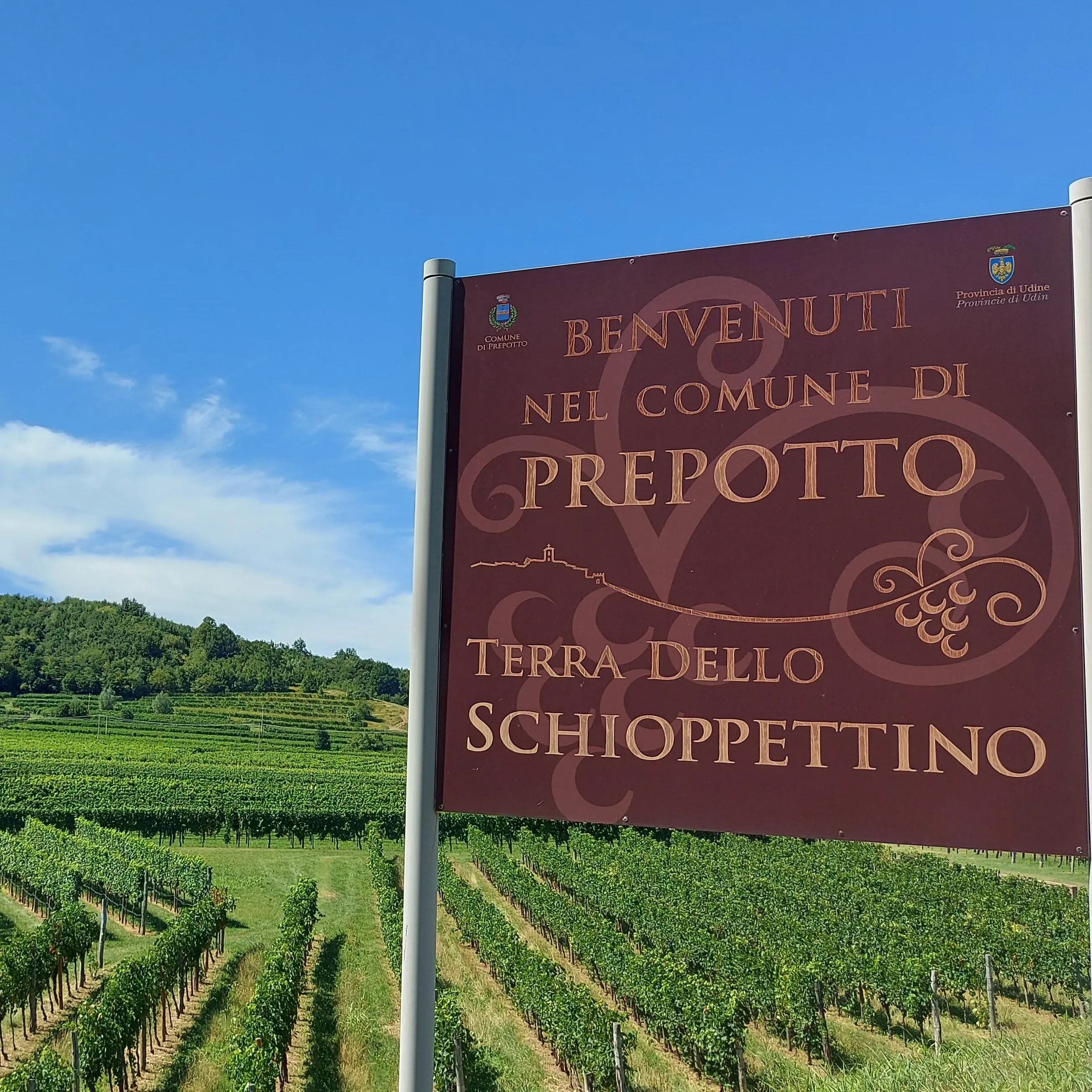 High Quality Delux Vigna Petrussa Italian wine SCHIOPPETTINO DI PREPOTTO and RISERVA Doc 75cl for horeca private client