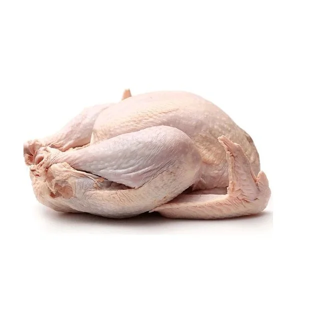 Wholesale Supplier Frozen Whole Turkey For Sale In Cheap Price