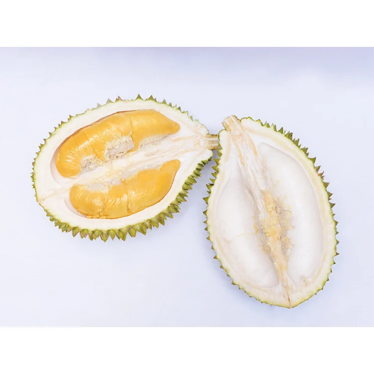 Premium Quality Musang King Durian Combination of Bitter and Sweet Flavors Deep Yellow Flesh Soft and Smooth Like Ice Cream