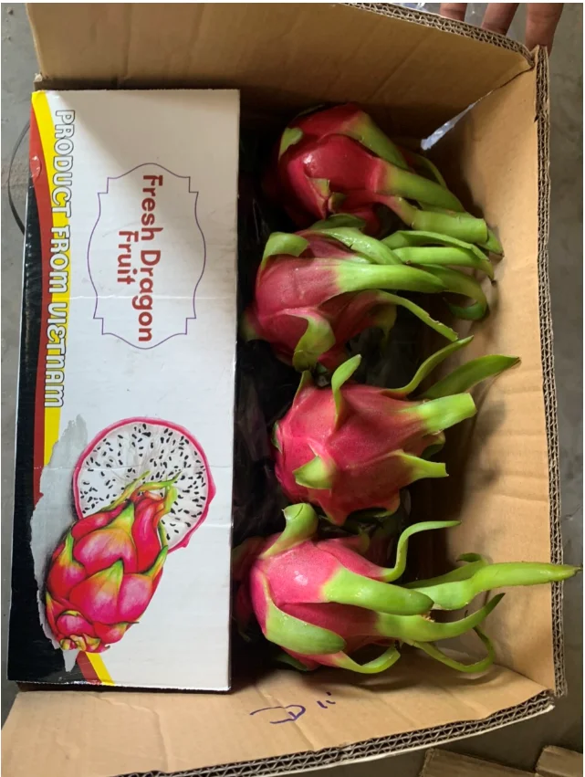 Свежий и вкусный белый фрукт дракона из провинции Бинь Туан/+ 84 901445086