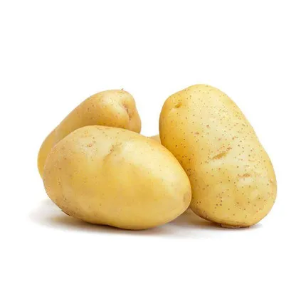 Картофельная ферма оптом свежий картофель с сетчатой упаковкой