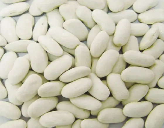 white kidney beans