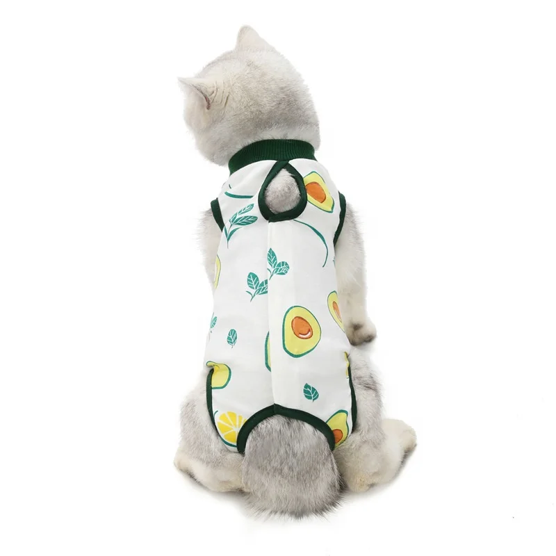 Pet recovery clothes cute design fruit Watermelon,cat recovery suit wholesale anti-licking cat apparel sterilization clothes