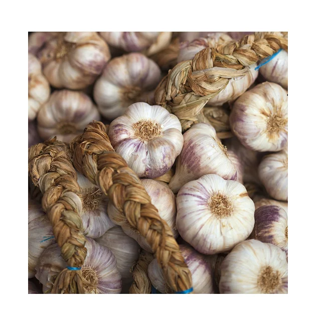 
Wholesale Cheap Price For Top Selling Fresh Garlic 