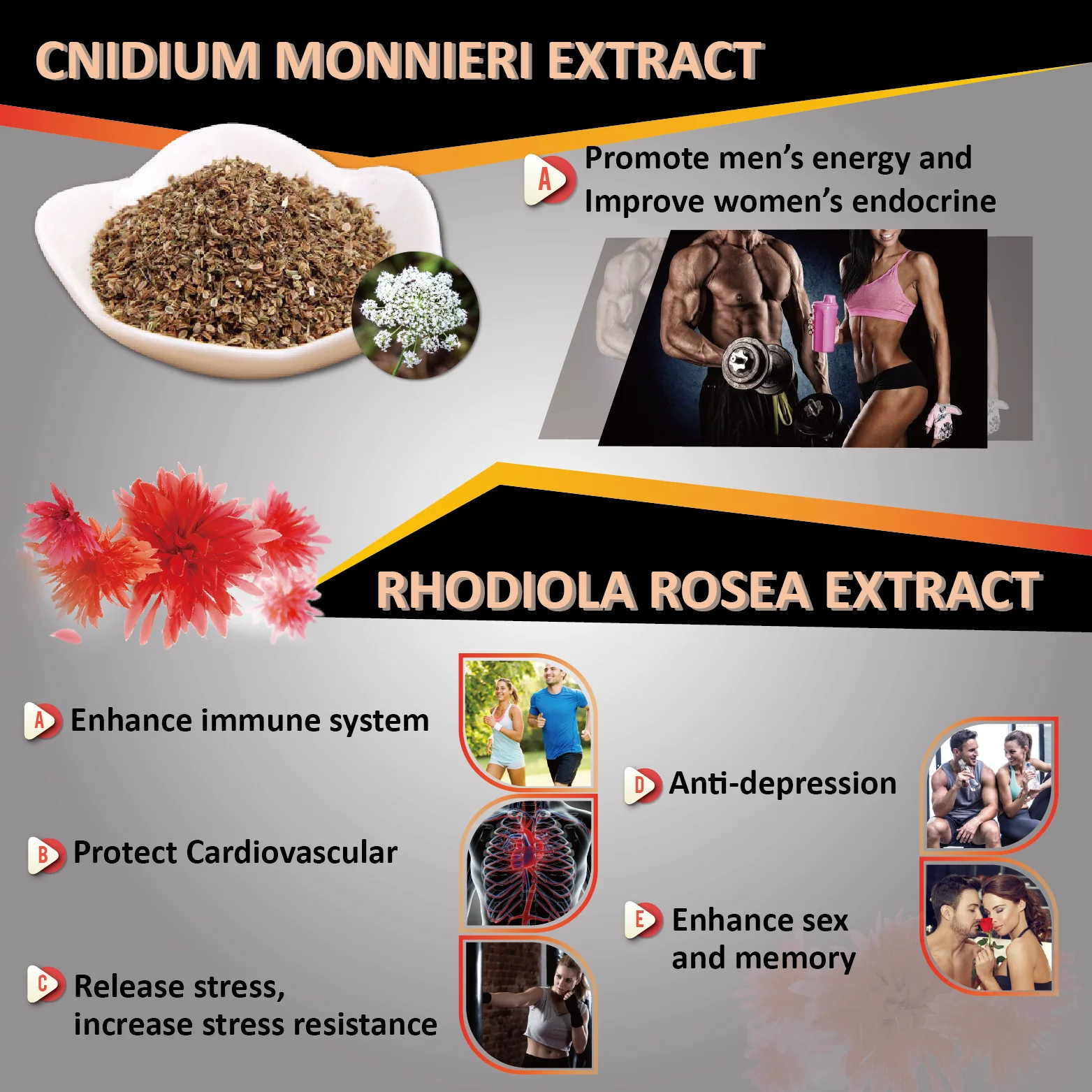 Sample Maca enhance men women energy enzyme drink