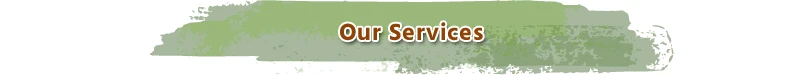 Services-t.jpg