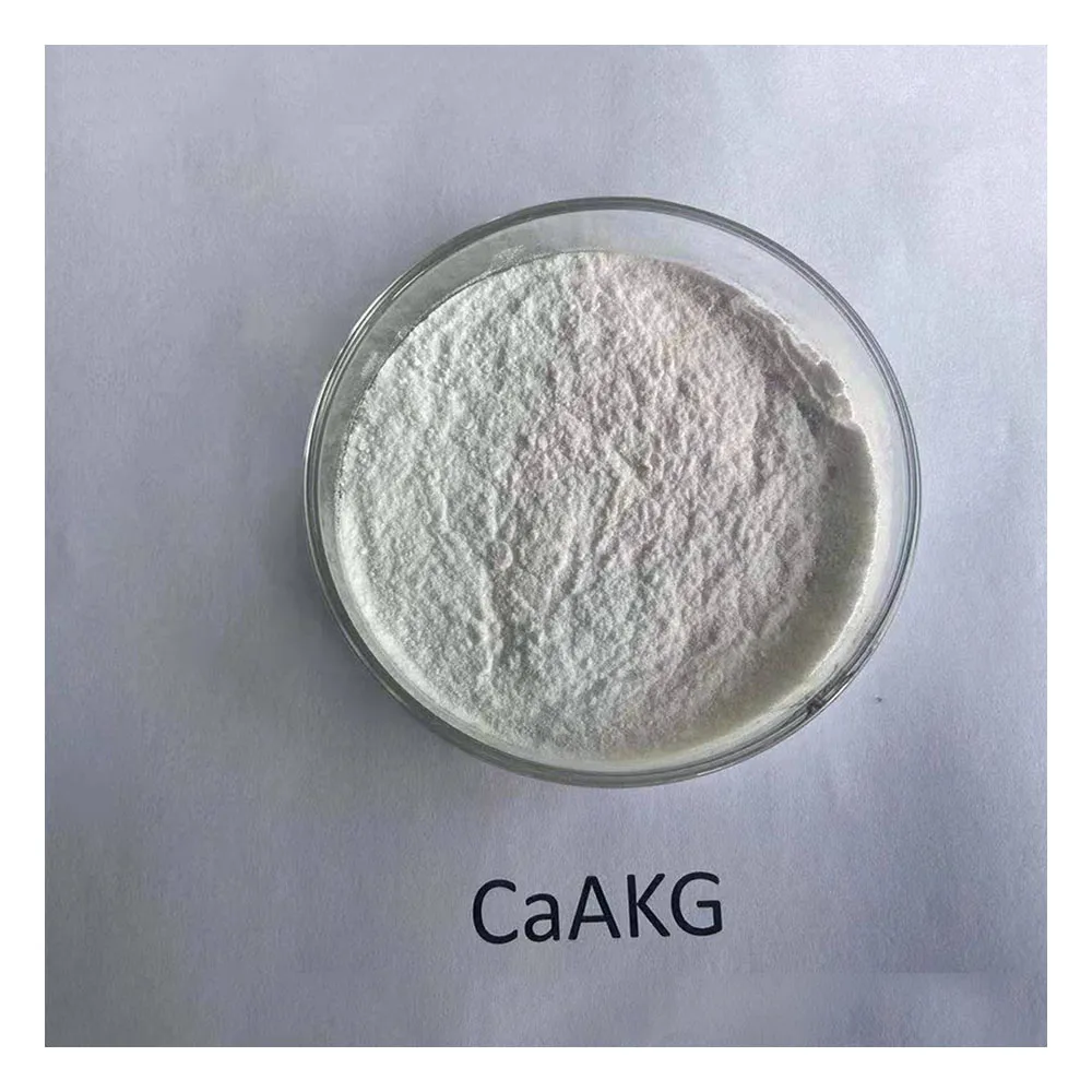 Pure Quality Calcium AKG Dietary Supplement Bulky Calcium Powder Supplement for Body Health and Increase Calcium Supply