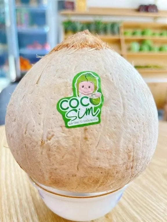 Свежий молодой кокос для оптовой продажи/полуочищенный из Вьетнама/быстрый ответ