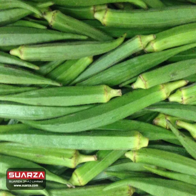 Здоровая форма свежий сезонный okra поставляется в Австралию Великобританию и другие страны по очень подходящей цене