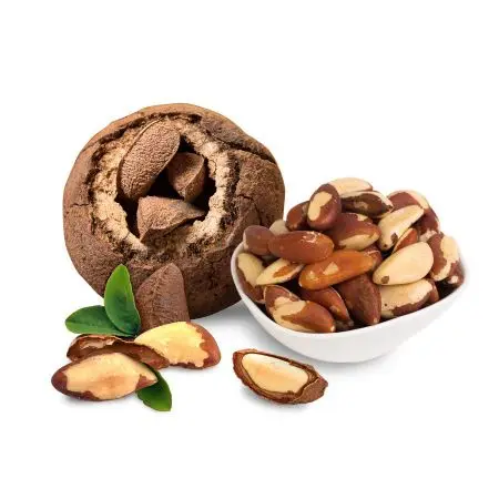 Top quality Raw and Roasted Brazil nuts / Brazil nuts / Organic Brazil Nuts Wholesale Price