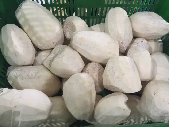 High Quality And Competitive Price Frozen Taro From VietNam. Whatsapp/Wechat VI HUYNH +84 911 695 402