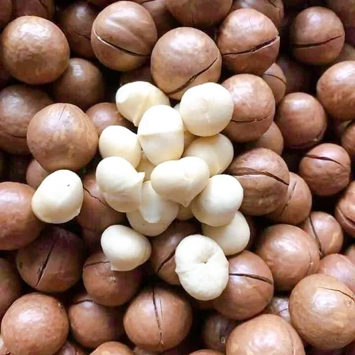 
Cheap Price High Quality Delicious Roasted Macadamia Nut 