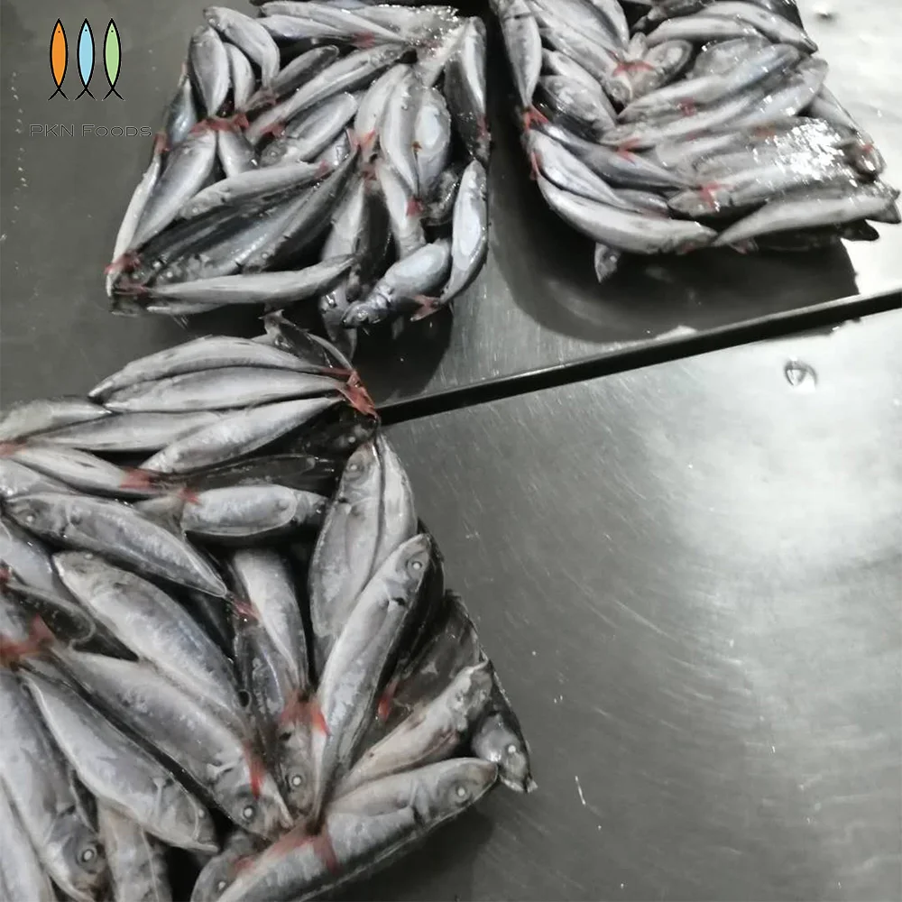 BLOCK IQF Seasonal Nature Whole Body Frozen Scad Fish Decapterus Kurroides Redtail Scad From Vietnam