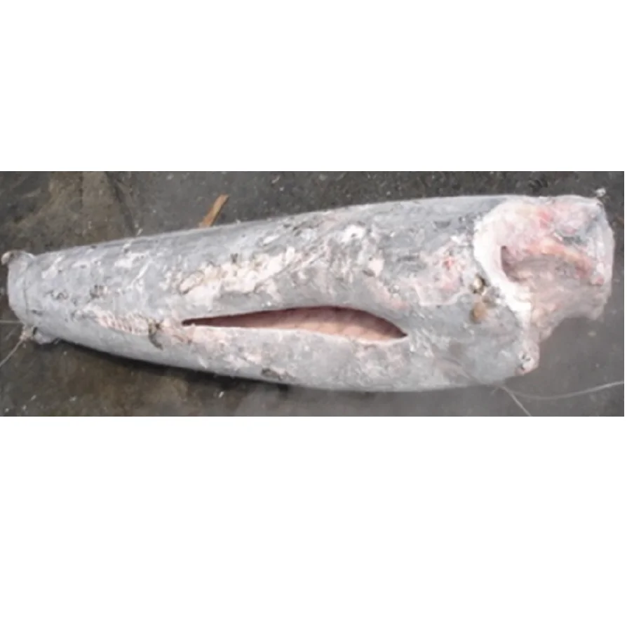 Питательный натуральный органический низкоуглеродистый транс-жир, замороженный меч HGT из Сингапура