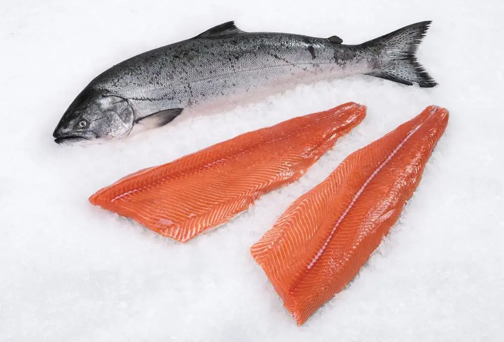 
Salmon Fish 