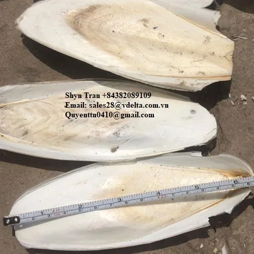  Чистая косточка Для морской слепки конкурентоспособная цена и высокое качество/Shn Tran + 84382089109