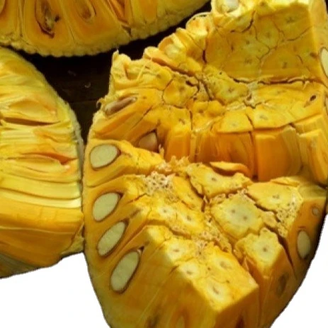 
Vietnam Fresh Jackfruit No chemichals (WS: +84904230236) 