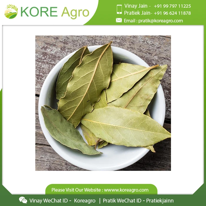 Most Selling Bay Leaf 100% Natural Dried Food Flavoring Spice And Cooking Herb & Mix Masala Supplier From India