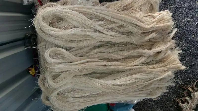 Musa fiber высокое качество низкая цена банановое волокно Вьетнам происхождение Ms праздник + 84 845639639