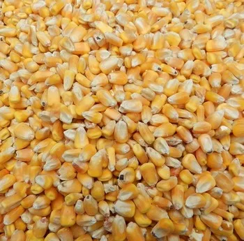 Вьетнамская Желтая Кукуруза по самой низкой