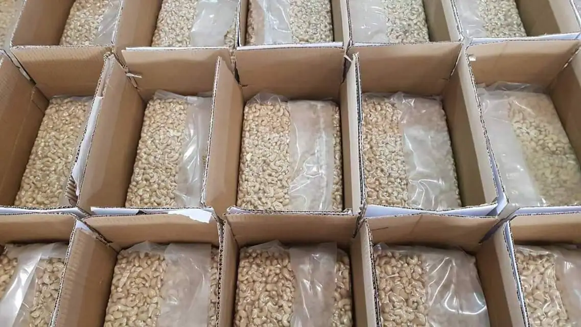 Made in Vietnam Raw Cashew Nuts Roasted Cashew Nut Vietnam Cashew Nuts