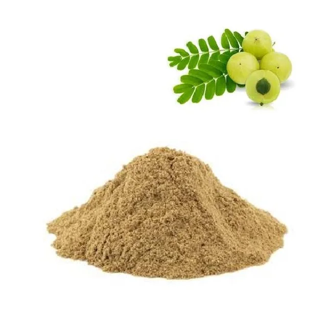 Amla Powder Powder Pure Anti-oxidation Product Organic Amla Gooseberry Extract Powder  Phyllanthus Emblica Fruit Extract