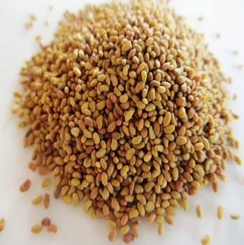 
Organic Alfalfa Sprouting Seeds/Alfalfa Seed,Mustard Seeds 