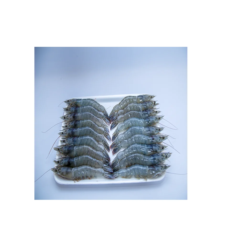 
Fresh Vannamei Head On Used Baked And Fried With Best Price Shrimp For 24 months Shelf Life From Viet Nam 