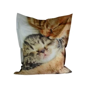 Luckysac Hot Sales Beanbag Chair Printed Modern Fabric Sofa Outdoor Indoor Waterproof Bean Bag