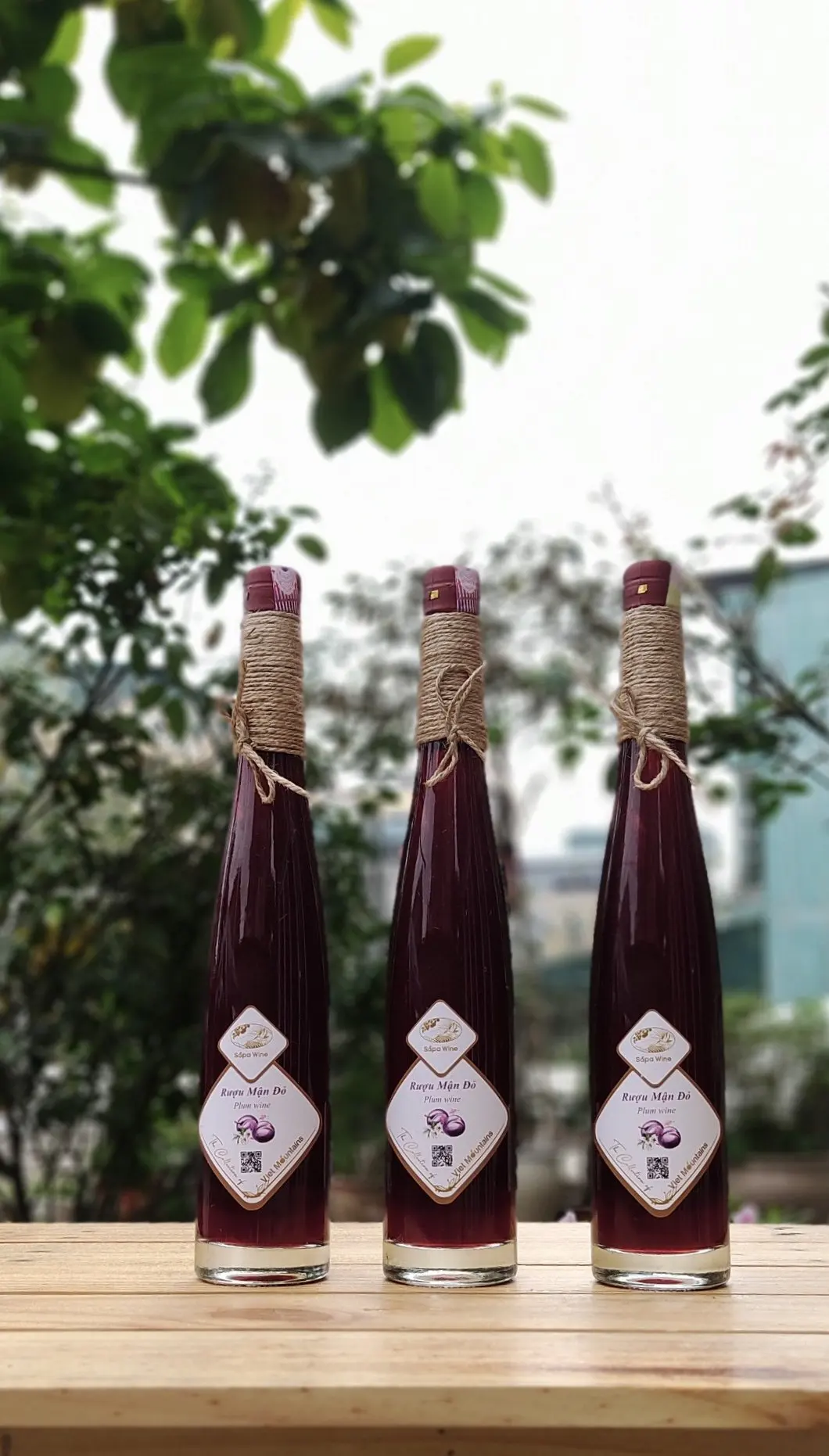 Sapa Wine from Vietnam Natural Fruit