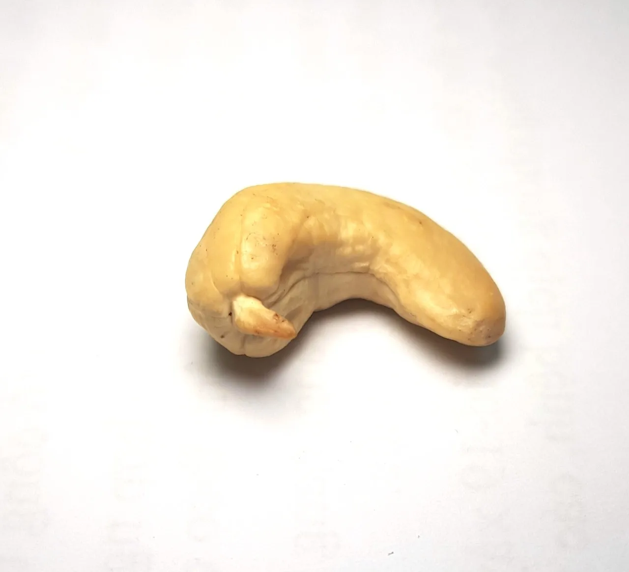 Cashew Vietnam// Roasted Cashew nuts - HACCP ISO 22000 2018/ Best price