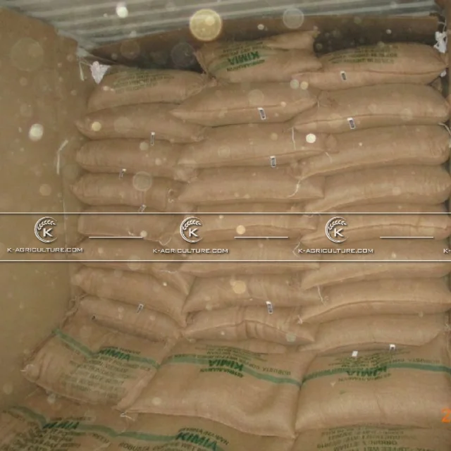 Отличный качественный вьетнамский КОФЕ Robusta самая дешевая оптовая продажа 2021