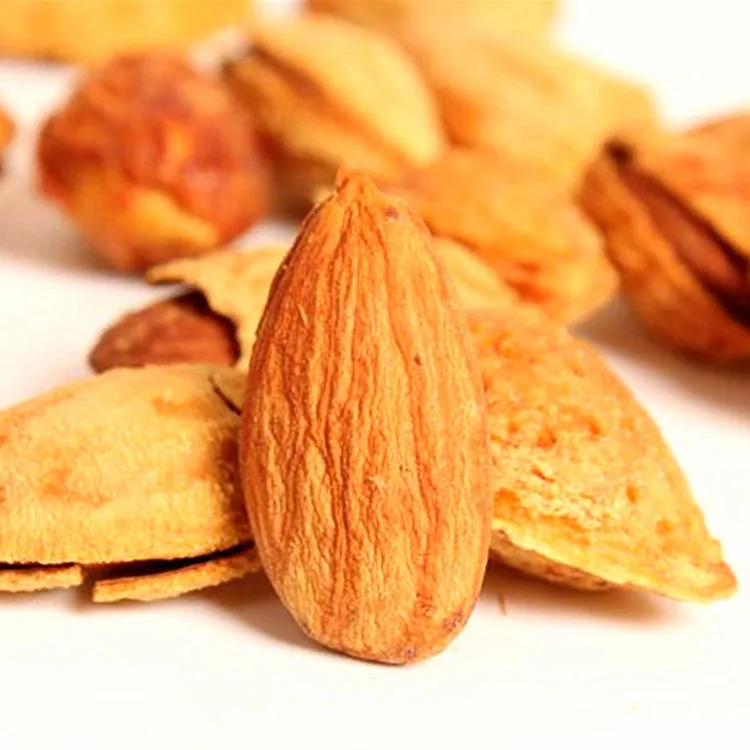 Plenty Natural Delicious High-Quality Nuts 2021 Salted Roasted Almond Nuts