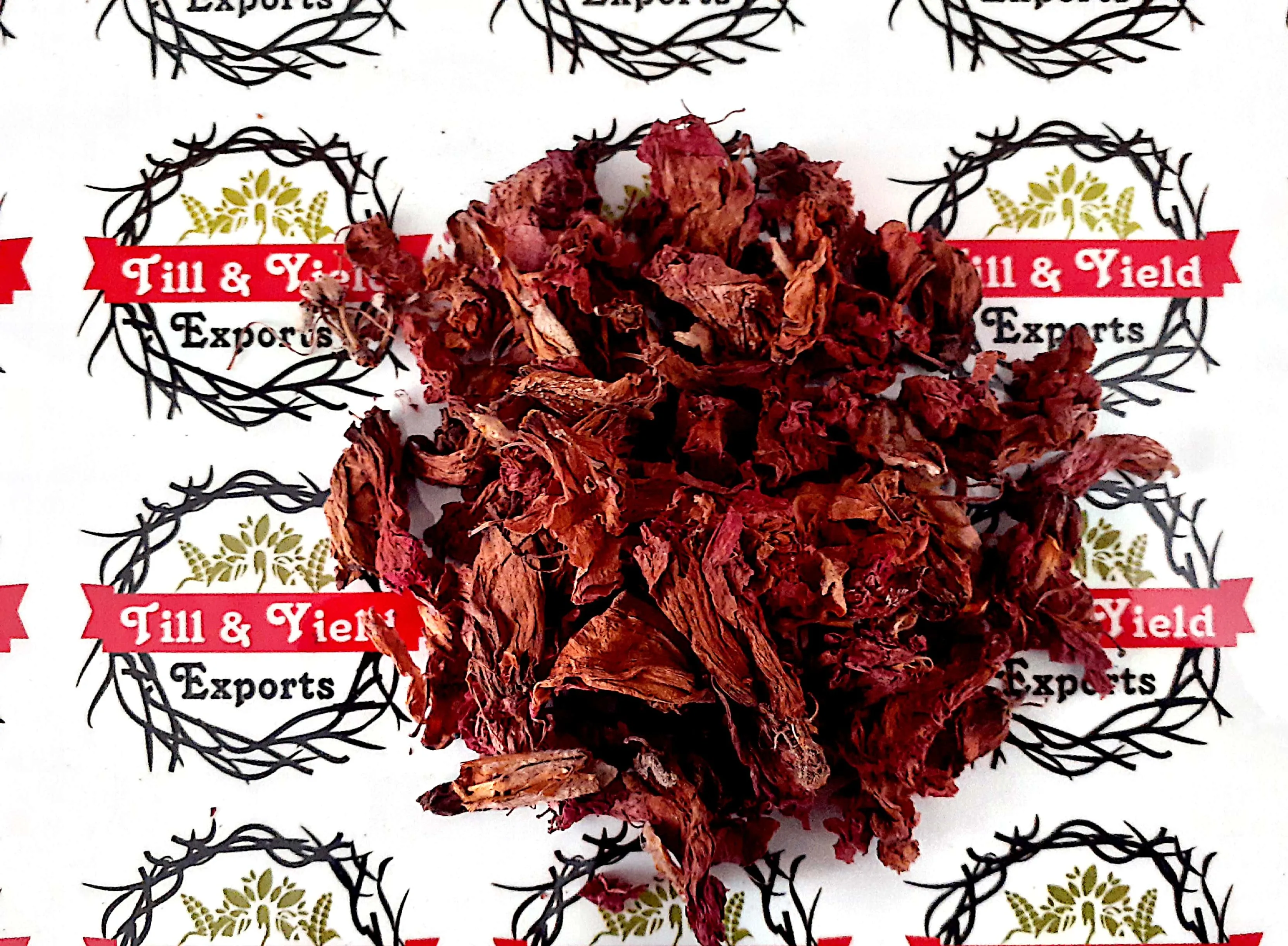 Factory Supply Dried Hibiscus Flower - Indian Origin Premium Quality Hibiscus Rosa sinensis