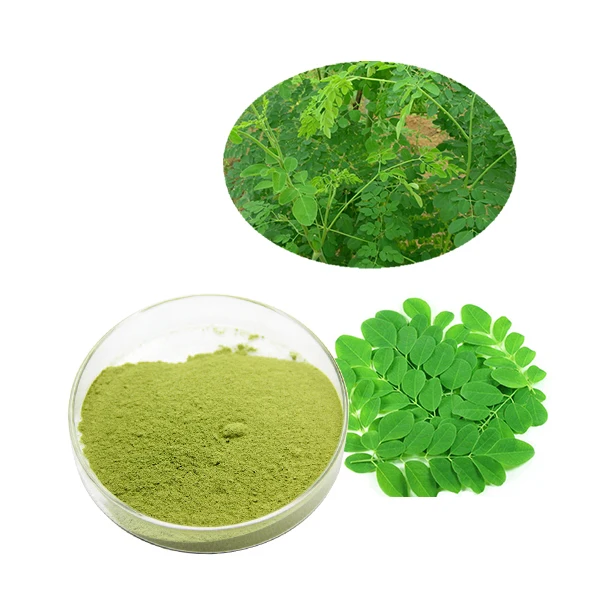 
Super food Organic Moringa Powder - 100% Natural Bulk moringa leaf powder 