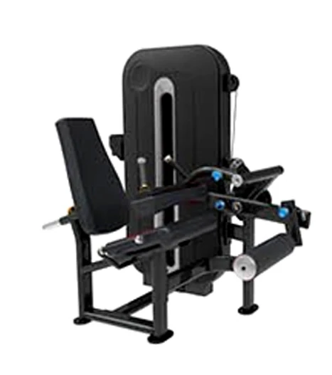 Gym Equipment Hammer Strength Prone Loaded Dual Adjust Multi Weight Bench Seated Attachment Machine Core Curl Leg Extension